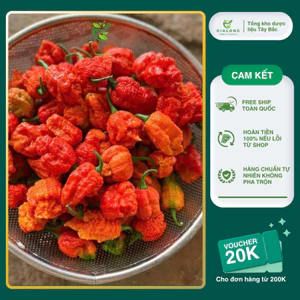 Quả Giống Ớt Cay Nhất Thế Giới Carolina Reaper ( Chín Tươi )
