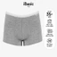 Pack 7 quần lót bé trai iBasic cotton USA kháng khuẩn phom boxer in hình - PANB030