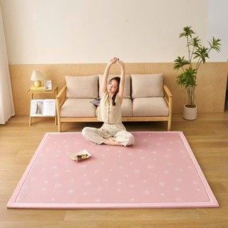 Đệm trải sàn mẫu mới, tấm trải bảo vệ đệm, nệm băng lạnh đa năng hàng nhập loại 1