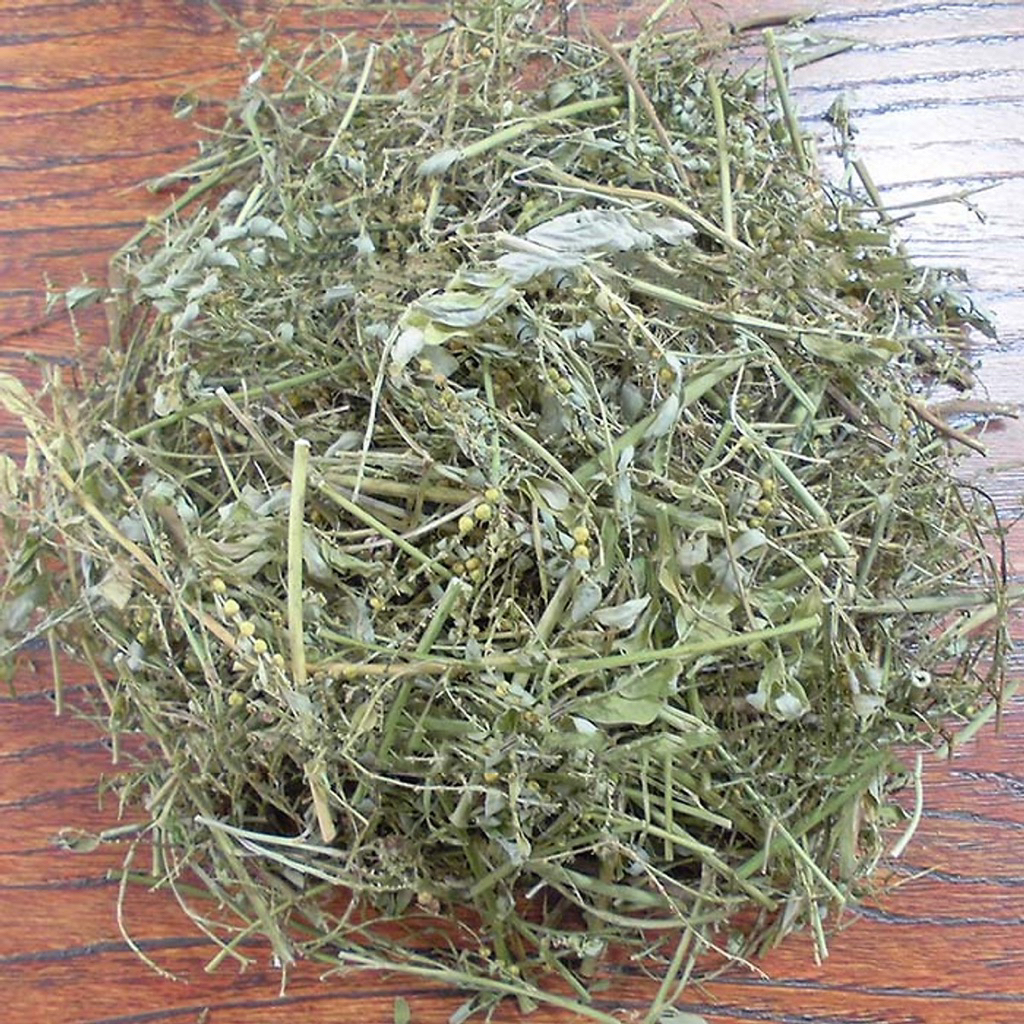 500GR Diệp Hạ Châu | Cây Chó Đẻ Răng Cưa Hỗ Trợ Giảm Sỏi Thận, Tiểu Đường, Cải Thiện Gan