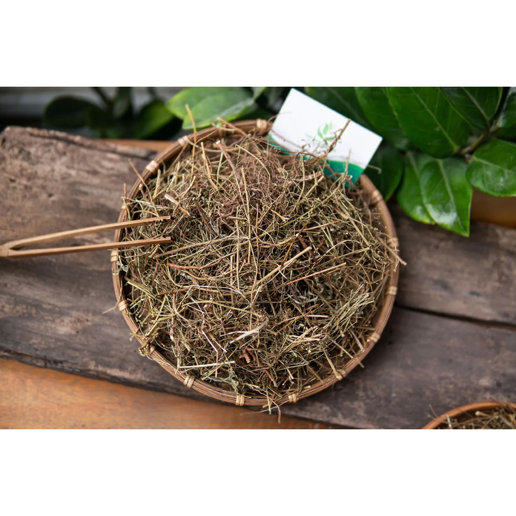 500GR Diệp Hạ Châu | Cây Chó Đẻ Răng Cưa Hỗ Trợ Giảm Sỏi Thận, Tiểu Đường, Cải Thiện Gan