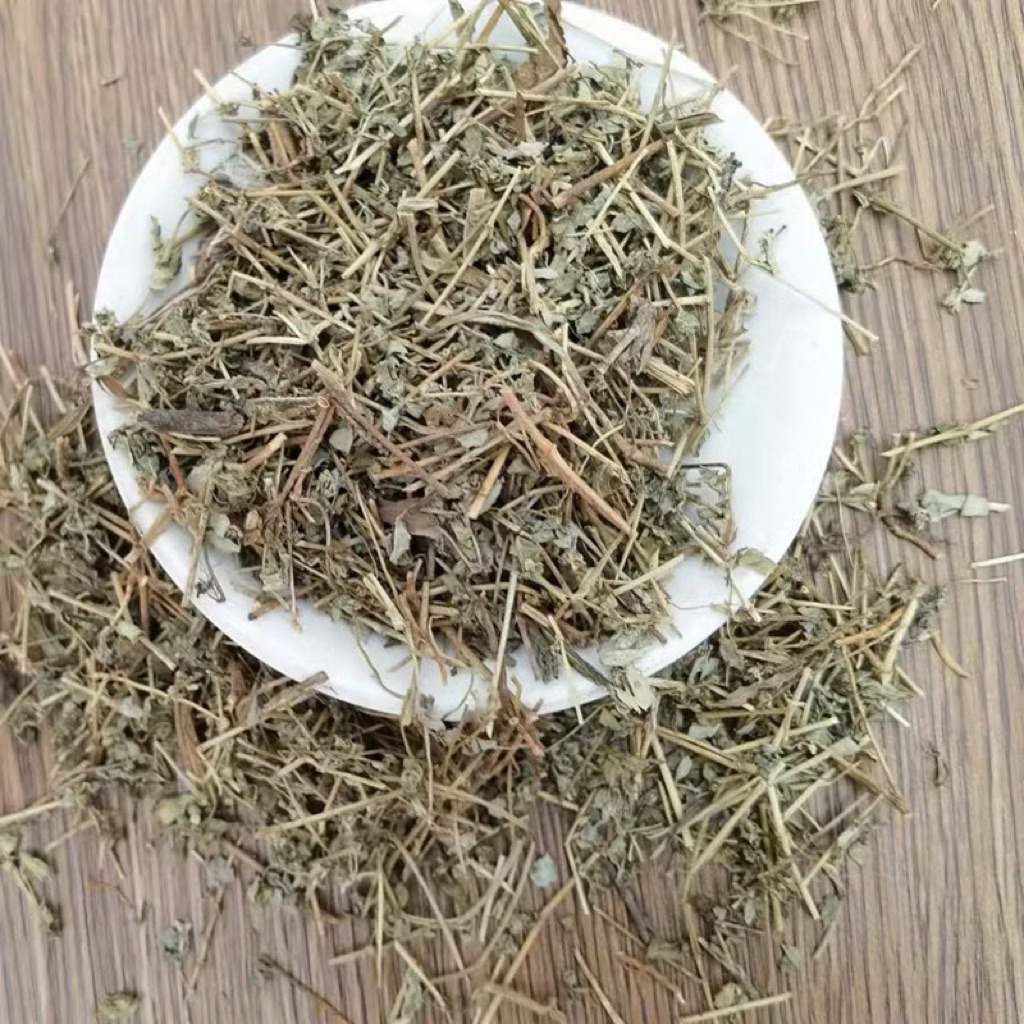 500GR Diệp Hạ Châu | Cây Chó Đẻ Răng Cưa Hỗ Trợ Giảm Sỏi Thận, Tiểu Đường, Cải Thiện Gan