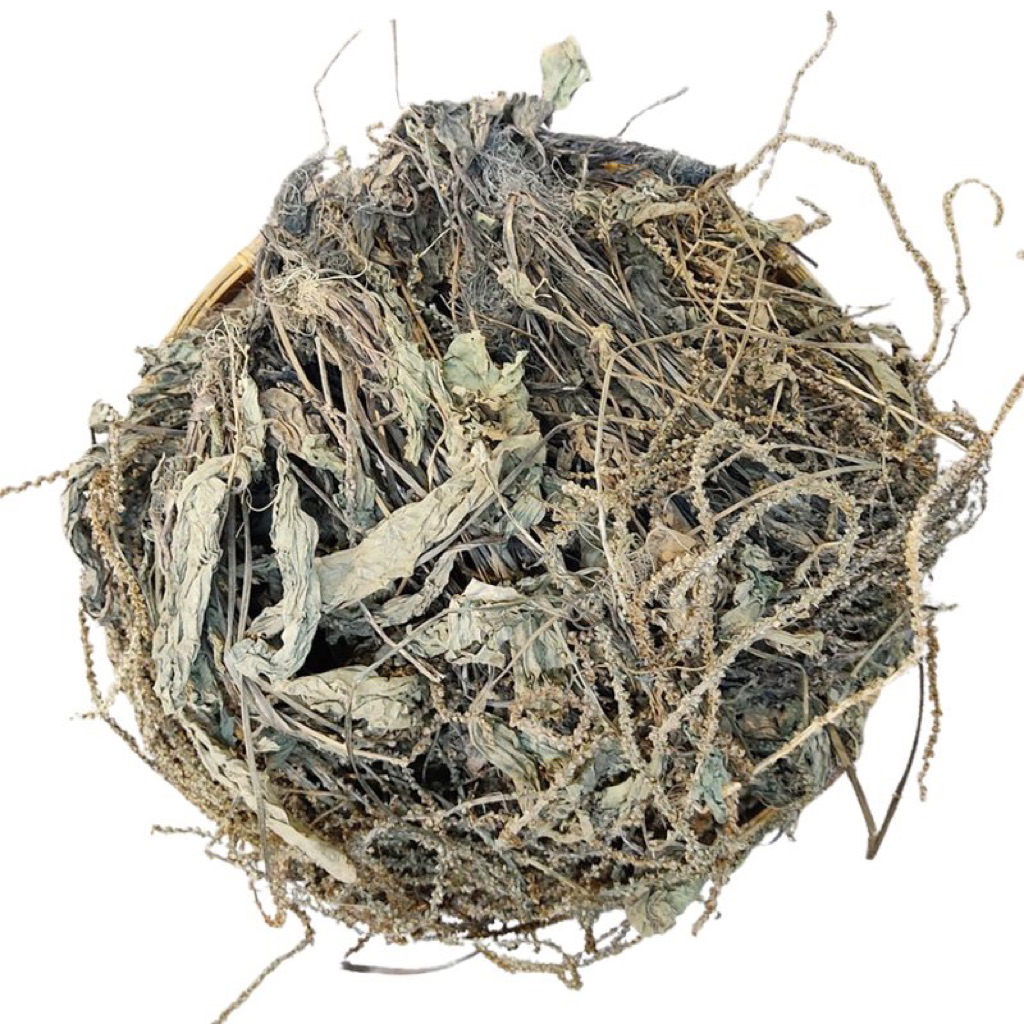 500GR Cây Mã Đề Khô Giúp Lợi Tiểu, Hỗ Trợ Tán Sỏi Thận, Bí Tiểu, Ổn Định Huyết Áp