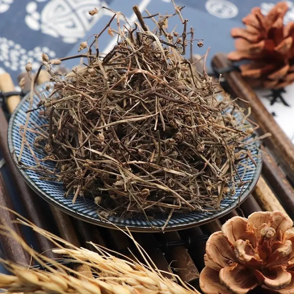 500GR Cây Dòi Thân Tím ( Cây Dòi Tía, Bọ Mắm Khô ) Giảm Đau Họng, Giảm Ho, Tiêu Đờm, Thanh Nhiệt