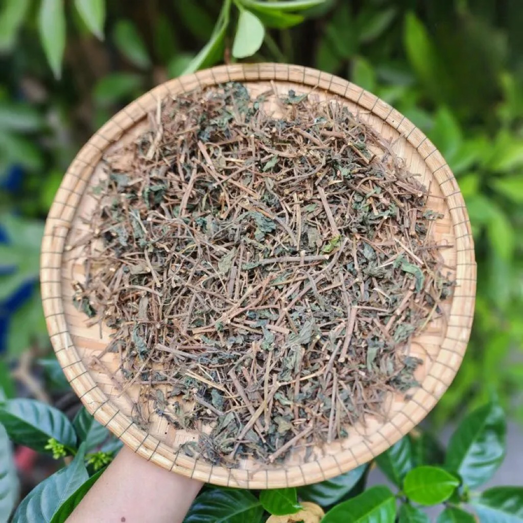 500GR Cây Dòi Thân Tím ( Cây Dòi Tía, Bọ Mắm Khô ) Giảm Đau Họng, Giảm Ho, Tiêu Đờm, Thanh Nhiệt