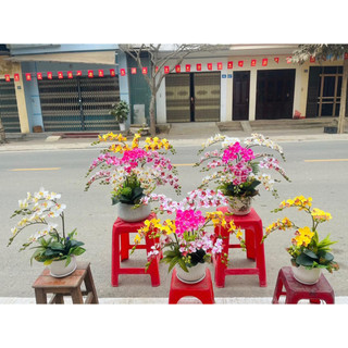 Cành hoa lan giả tiểu hồ điệp 12 bông cao su - Dài 65cm - Hoa giả trang trí - Hoa lụa Hạnh Hoan