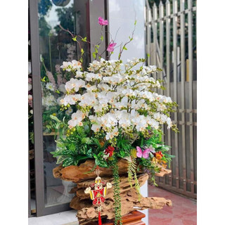 Cành hoa lan giả tiểu hồ điệp 12 bông cao su - Dài 65cm - Hoa giả trang trí - Hoa lụa Hạnh Hoan