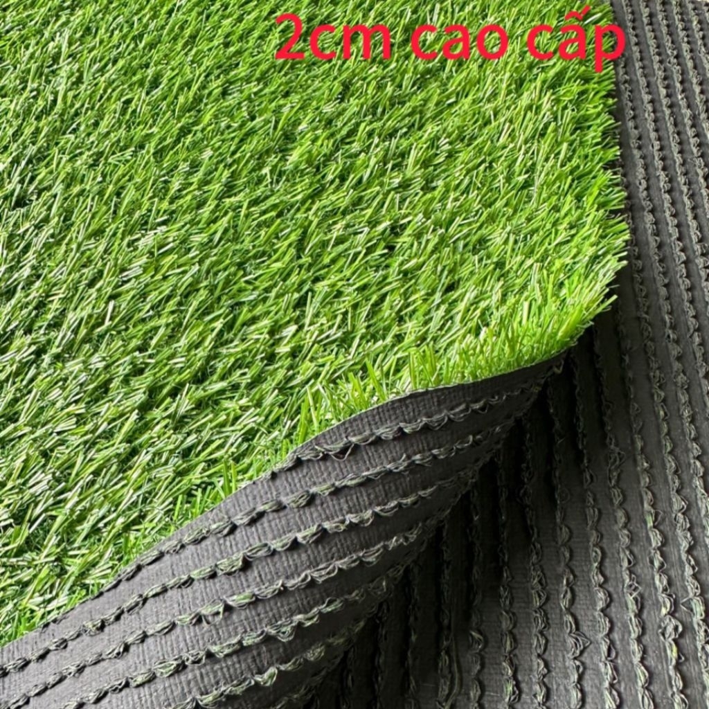Combo 50m2(2m x 25m) Thảm cỏ nhân tạo 2cm cao cấp  sợi nhựa PE chống tia UV độ bền cao