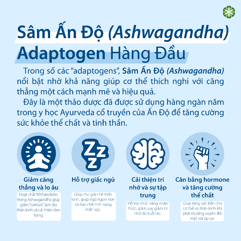 ExcelMind – Viên uống hỗ trợ giấc ngủ, an thần, giảm mất ngủ từ Sâm Ấn Độ Ashwagandha