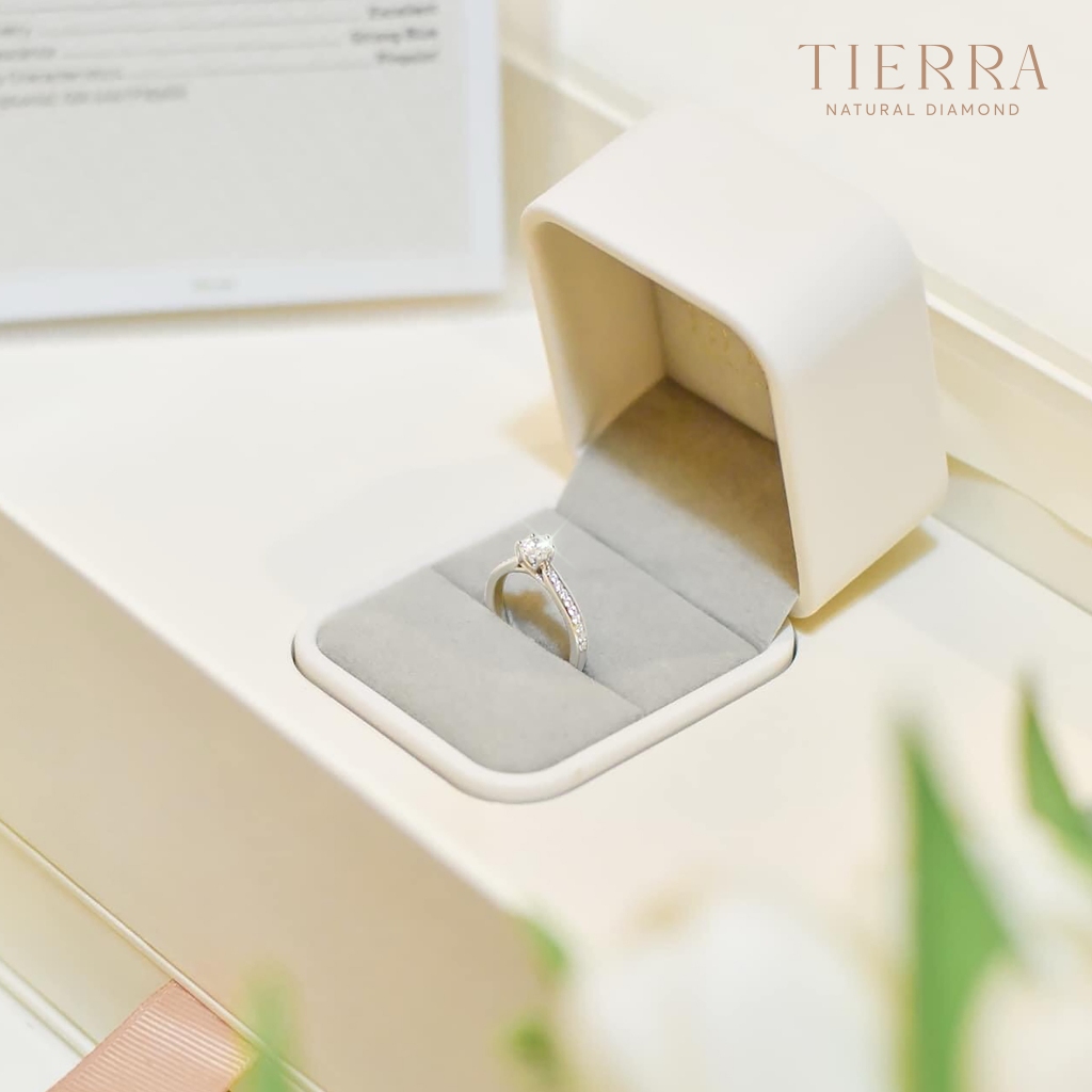 [CHAT TRƯỚC KHI ĐẶT] Nhẫn Cầu Hôn Tierra Promise You NCH1419, Vàng 14K/ 18K, Tấm CZ/ KC, Thiết kế Nhẹ Nhàng, Tinh Tế