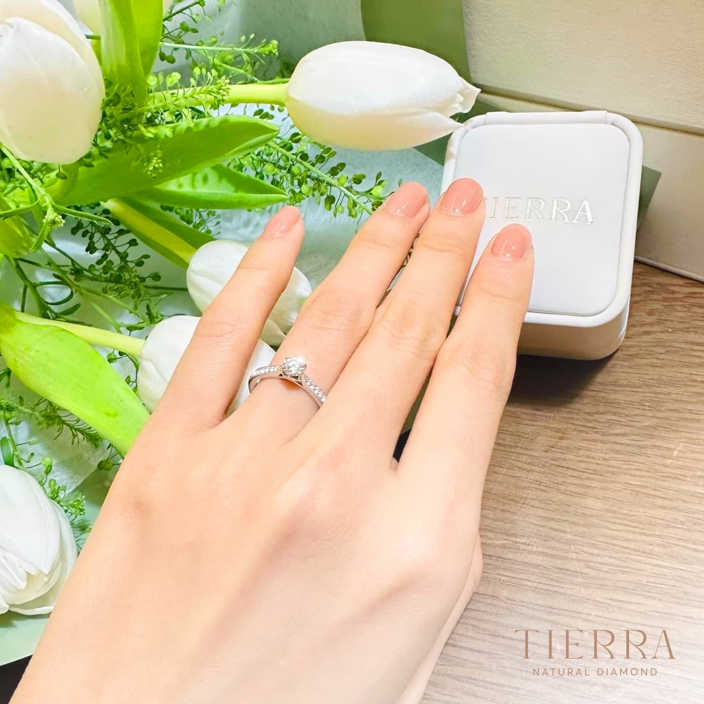 [CHAT TRƯỚC KHI ĐẶT] Nhẫn Cầu Hôn Tierra Promise You NCH1419, Vàng 14K/ 18K, Tấm CZ/ KC, Thiết kế Nhẹ Nhàng, Tinh Tế