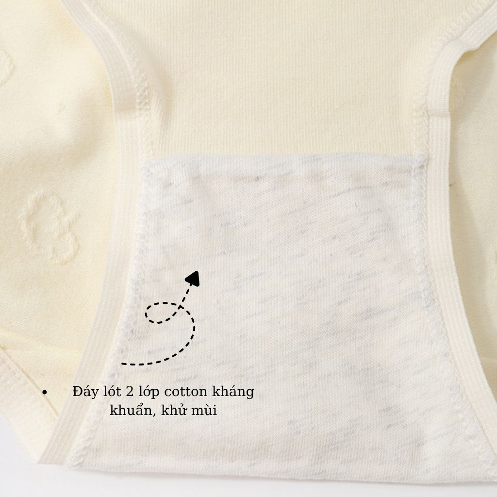 SET 3 Quần lót nữ cotton cao cấp cạp vừa tôn dáng - COMBO 5 Quần chip nữ co giãn êm ái LANIXA CBLY01
