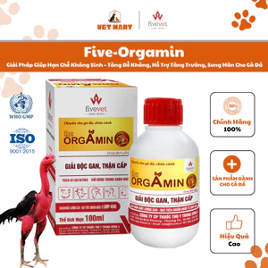 Five-Orgamin Giải Pháp Giúp Hạn Chế Kháng Sinh Tăng Đề Kháng, Hỗ Trợ Tăng Trưởng, Sung Mãn Cho Gà Đá