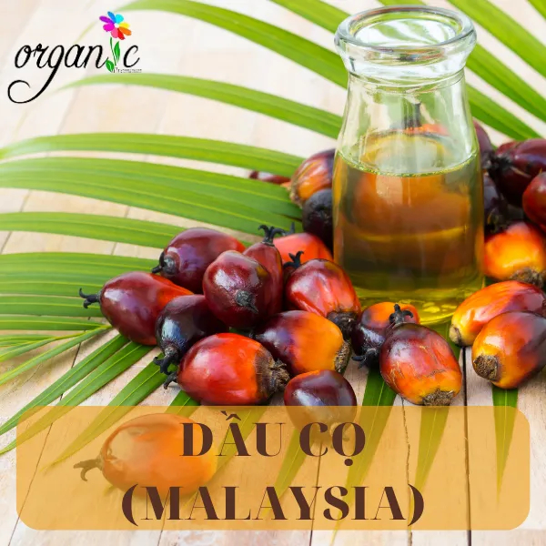 DẦU CỌ (MỸ) 50mL 100mL 250mL