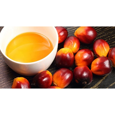 DẦU CỌ (MỸ) 50mL 100mL 250mL