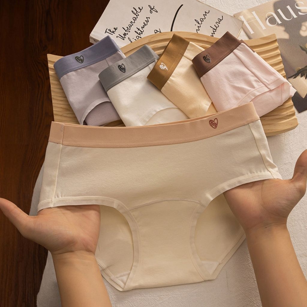 SET 5 Quần lót cotton nữ cao cấp co giãn thoải mái - CB3 Quần lót nữ cạp vừa tôn dáng LANIXA L183