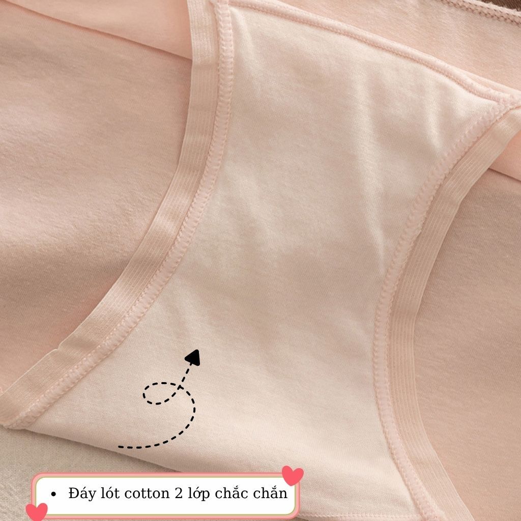 SET 5 Quần lót cotton nữ cao cấp co giãn thoải mái - CB3 Quần lót nữ cạp vừa tôn dáng LANIXA L183