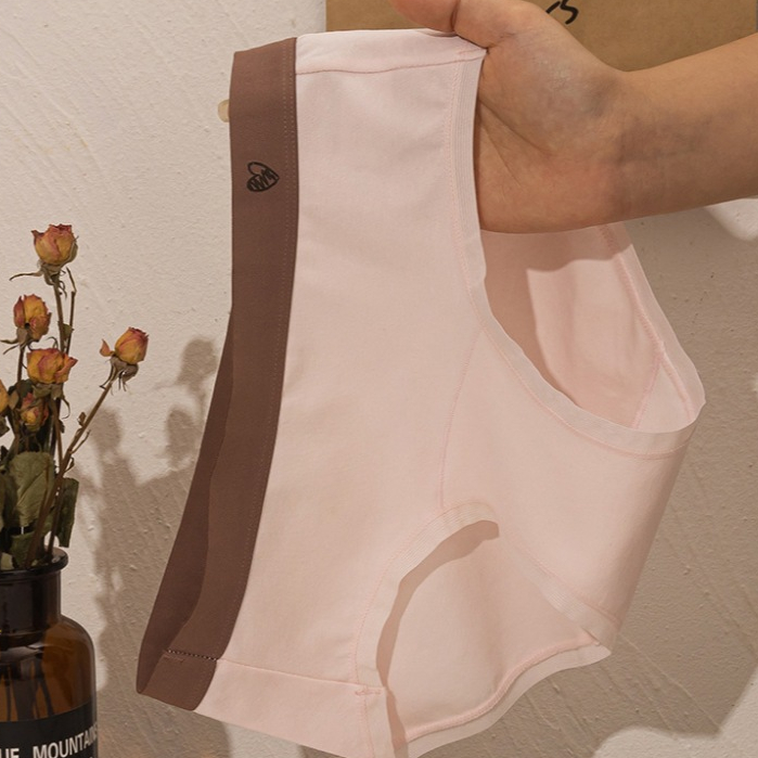 SET 5 Quần lót cotton nữ cao cấp co giãn thoải mái - CB3 Quần lót nữ cạp vừa tôn dáng LANIXA L183