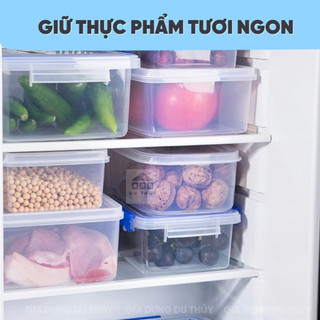 Bộ 3 hộp đựng thực phẩm nắp gài trong suốt Việt Nhật, nhựa PP an toàn, chịu nhiệt tốt dùng được trong lò vi sóng- 6695