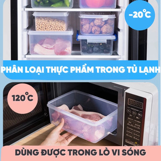 Bộ 3 hộp đựng thực phẩm nắp gài trong suốt Việt Nhật, nhựa PP an toàn, chịu nhiệt tốt dùng được trong lò vi sóng- 6695