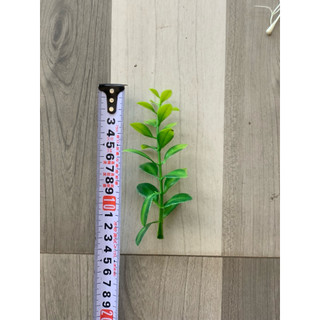 100g điểm lá nhựa- điểm măng tây,đuôi công, rong rối -dùng trong trang trí cây,hộp quà, tổ chức sự kiện và nhiều ý tưởng