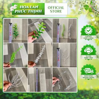 100g điểm lá nhựa- điểm măng tây,đuôi công, rong rối -dùng trong trang trí cây,hộp quà, tổ chức sự kiện và nhiều ý tưởng