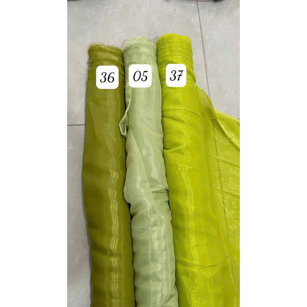 ảnh cây 8