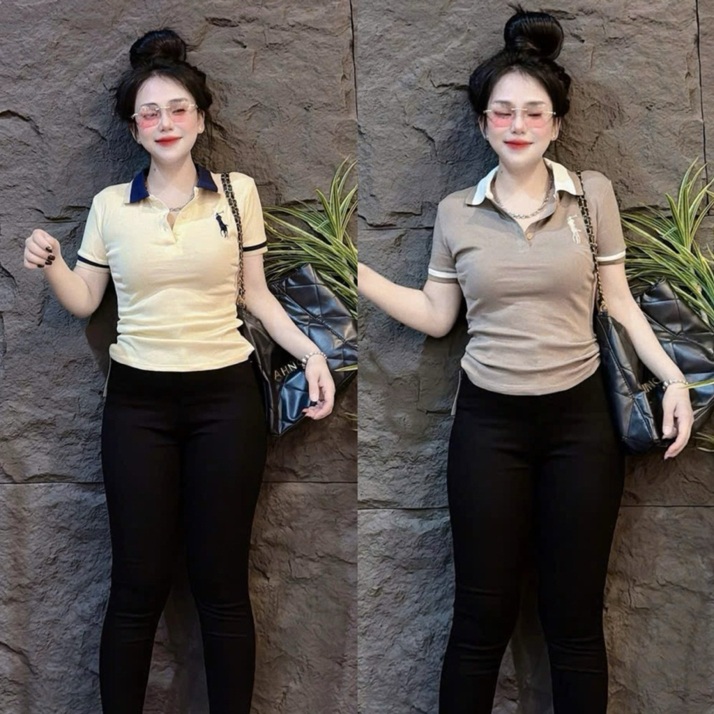 [ Có Size 38kg - 58kg ] Áo thun nữ Pô Lô PHOM ÔM Gấu Store tôn eo phối bo sọc viền thêu ( Pô Lô thêu Ngựa sọc viền 047 )