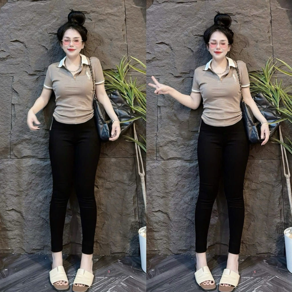 [ Có Size 38kg - 58kg ] Áo thun nữ Pô Lô PHOM ÔM Gấu Store tôn eo phối bo sọc viền thêu ( Pô Lô thêu Ngựa sọc viền 047 )