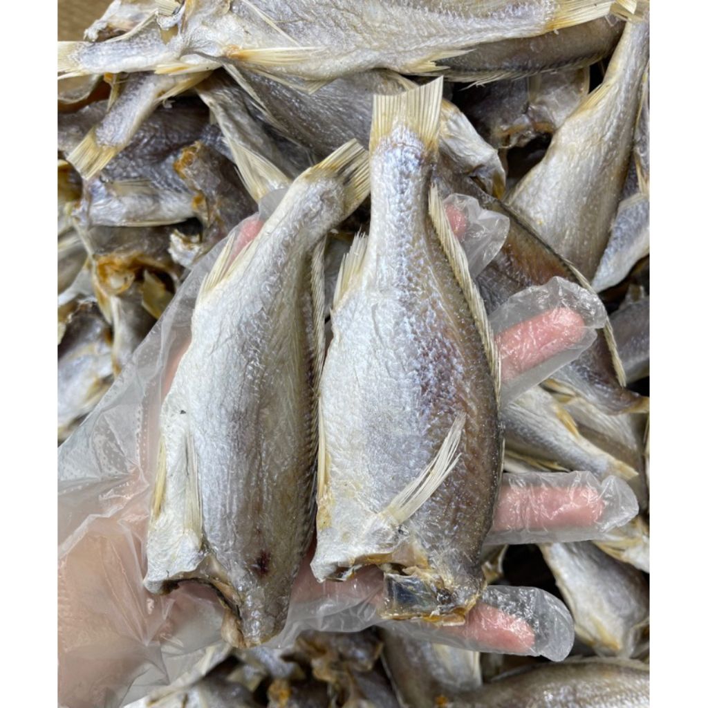 Khô Cá Đù 3 Nắng 500g (12 Con) – Cá Đù Khô Thơm Ngon, Đặc Sản Biển