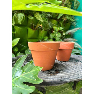 Chậu Đất Nung Nhiều Màu Nhiều Kích Thước - Chậu Ly - Trồng Sen Đá - Xương Rồng Từ 3.5cm Đến 11cm - Gốm Lái Thiêu