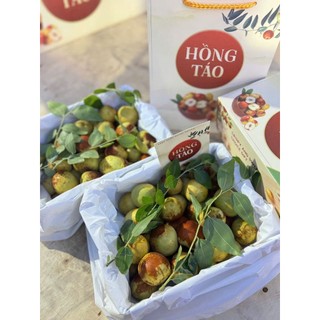 ( JENNY FRUIT ) Hộp Táo tàu phiên bản quà tặng cứng trái giòn ngọt lun hộp 1kg