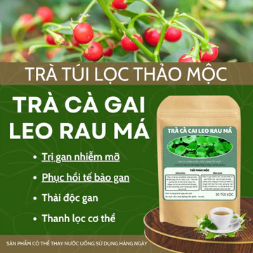 Trà Cà Gai Leo Rau Má . Cà Gai Leo . thanh lọc cơ thể . giải độc gan . tăng cường chức năng gan bảo vệ lá gan. bổ gan