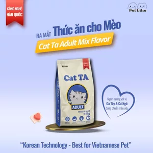 Hạt Cat TA Gói 1KG Thức Ăn Hạt Khô Dành Cho Mèo Trưởng Thành Công Nghệ Hàn Quốc
