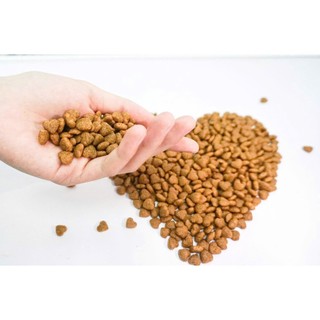Hạt Cat TA Gói 1KG Thức Ăn Hạt Khô Dành Cho Mèo Trưởng Thành Công Nghệ Hàn Quốc