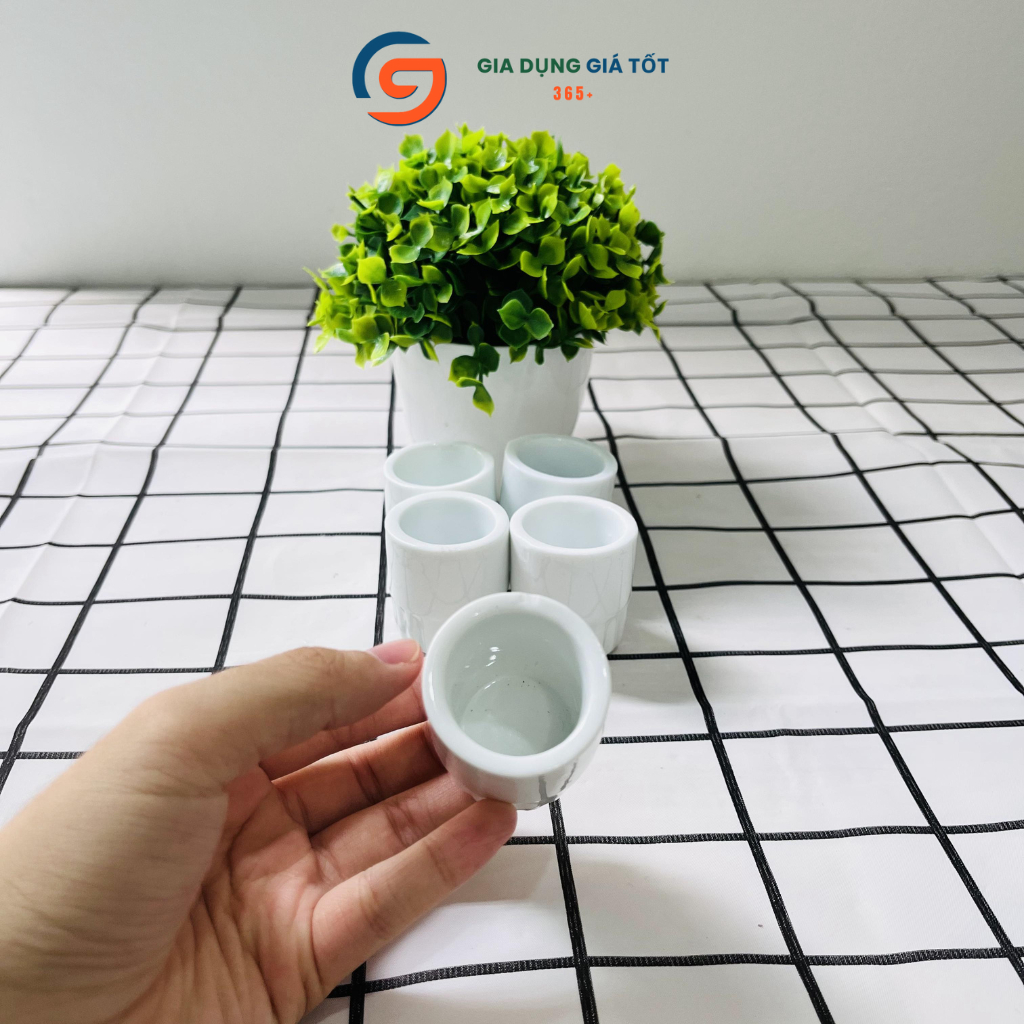Set 10 chén sứ trắng nhỏ hạt mít, chén nhỏ mắt trâu tráng men đẹp