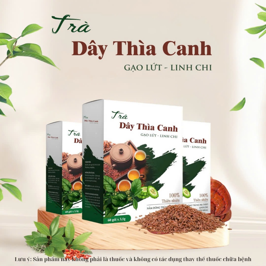 Trà Dây Thìa Canh - Hộp 60 Túi Lọc