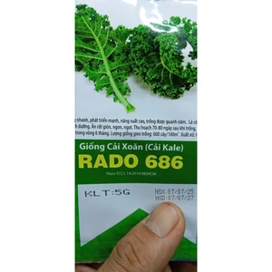 HẠT GIỐNG CẢI KALE XOĂN XANH - CHÍNH HÃNG RẠNG ĐÔNG (DATE MỚI NHẤT)
