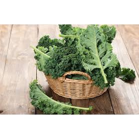 HẠT GIỐNG CẢI KALE XOĂN XANH - CHÍNH HÃNG RẠNG ĐÔNG (DATE MỚI NHẤT)