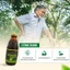Nước uống thảo dược Thổ phục linh [Chai thủy tinh 250ml]