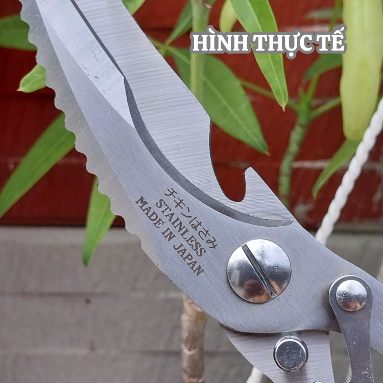 Kéo SK5 chuyên dụng cắt gà cao cấp sản xuất tại Japan bằng thép trắng ốp 3 lớp không gỉ