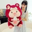 Gấu bông Heo ôm bình sữa Cosplay gấu dâu, Heo bông ôm bình sữa