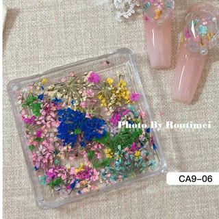 Hoa Nhí Khô Vuông | Màu Ngẫu Nhiên | Trang Trí Móng Tay | Resin | Album | Thủ Công