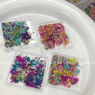 Hoa Nhí Khô Vuông | Màu Ngẫu Nhiên | Trang Trí Móng Tay | Resin | Album | Thủ Công