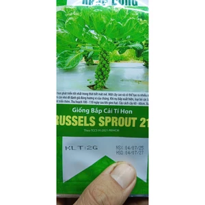 HẠT GIỐNG BẮP CẢI TÍ HON 219 - CHÍNH HÃNG RẠNG ĐÔNG ( DATE MỚI NHẤT)