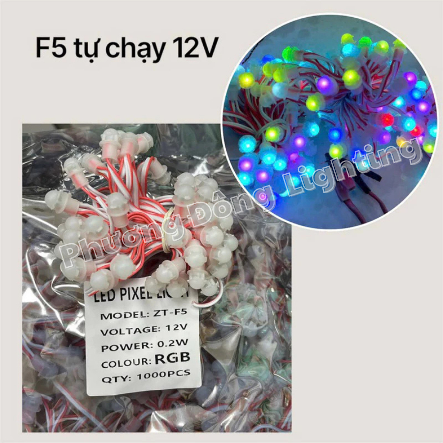 Led Đúc F5 RGB tự đổi màu Điện áp 12v - Dây 50 Bóng