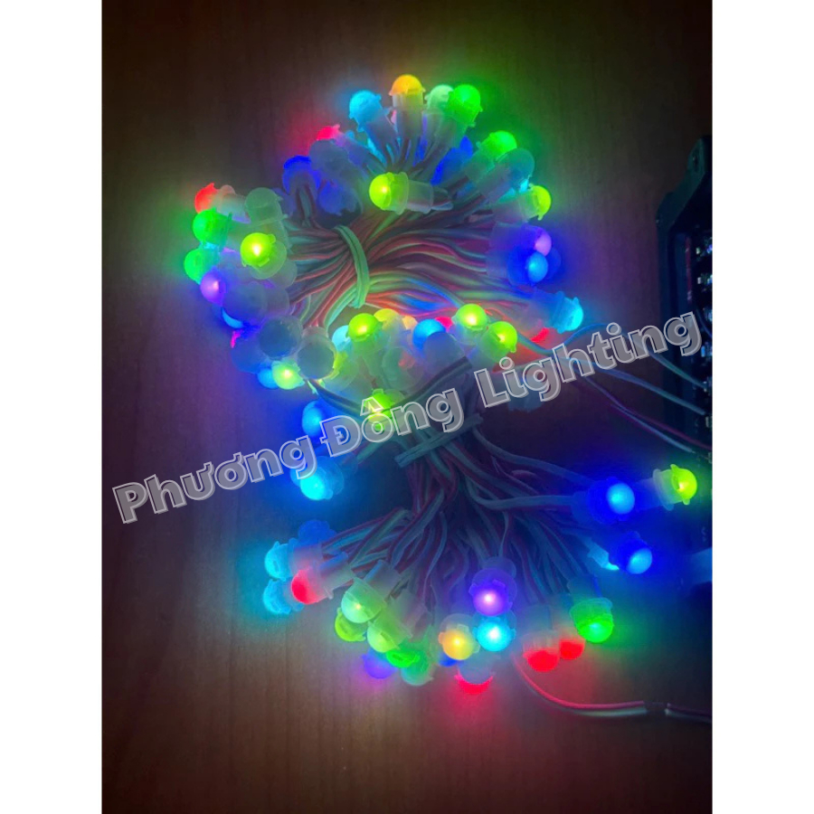 Led Đúc F5 RGB tự đổi màu Điện áp 12v - Dây 50 Bóng