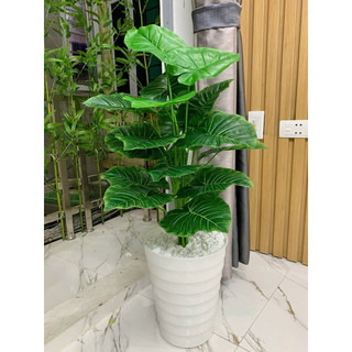 cây giả_ cây trầu bà nhân tạo cao 70cm. cây giả trang trí nhà cửa và nơi làm việc