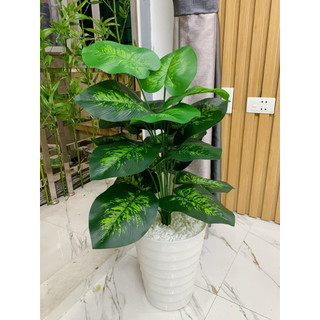 cây giả_ cây trầu bà nhân tạo cao 70cm. cây giả trang trí nhà cửa và nơi làm việc