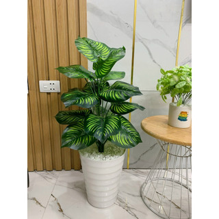 cây giả_ cây trầu bà nhân tạo cao 70cm. cây giả trang trí nhà cửa và nơi làm việc